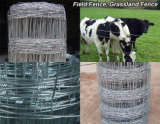 Livestock Fence/Corral Horse Fence/Cattle Fence