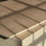 Commercial Okoume Plywood for Packing or Furniture Application