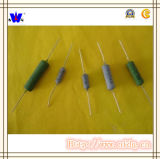 Rx21 Coating Resistor with ISO9001
