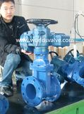 Tianjin Worlds Valve Co., Ltd.
