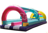 2 Lane Slip and Slide Inflatable Water Slide Inf006