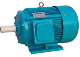 Y Series Three-Phase Squirrel-Cage Cast-Iron Induction Motor (H63-355)