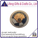 Free Design Custom Lions Club Lapel Pins Factory