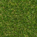 Synthetic Grass /Artificial Turf (GW253815-X)