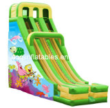 Inflatable Slide (AQ1114-2)