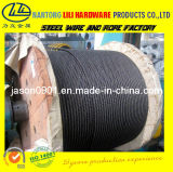 Steel Wire Rope (factory)