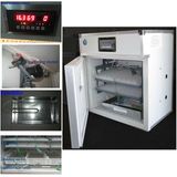 Egg Incubator (RD176)