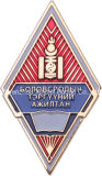 Color Painted Badge