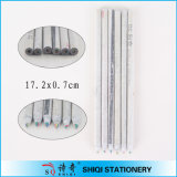 Eco-Friendly Recycled 4 in 1 Lead Pencil