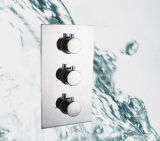 2-Ways Wall Mounted Thermostatic Shower Faucet (2001)