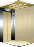 Fjzy-Elevator (FJ8000-1) Elevator Passenger103