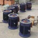 10-120kw Low Speed Vetical Wind Permanent Magnet Generator