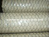 High Quality Galvanized Hexagonal Wire Netting