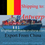 Cargo Ship From China to Antwerp, Belgium