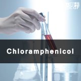 High Quality Chloramphenicol with Good Price