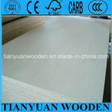 Poplar Core Plywood/Commercial Poplar Plywood/Veneer Commercial Plywood