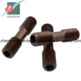 Stainless Steel Two Heads Stud Bolts (ZH-pH-003)