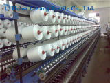 Ne 40/1 Close Virgin Polyester Spun Yarn for Fabric