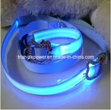 LED Dog Leads Three Size for Choosen