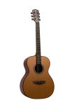 40 Inch Professional Guitar, High Quality Professional Guitar (SDG-828A-RN-OM)