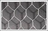 Hexagonal Wire Mesh