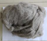 Yak Wool-Natural Color: Beige