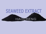 Plant Food with Soluble Seaweed Extract