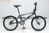 Bicycle (XR-FR2002)