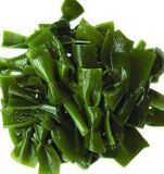 Seaweed Extract Fucoidan Powder