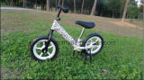 The Most Popular and Hottest Sales Sporting Kids Balance Bike, Kids Walker Bike (AKB-1201)