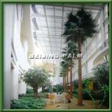 Artificial Washington Palm Tree for Hotel (AW-01)