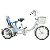 Cargo Bike (WT-CARGO-03)