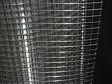 Welded Wire Mesh