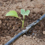 Plastic Drip Irrigation Pipe for Agriculture Irrigation