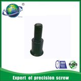 Non Standard Steel Screw Fasteners Nonstandard Screws