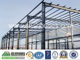 China Professional Supplier/Low Cost Prefabricated Building