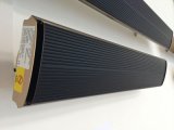Electric Infrared Heater and Radiant Heater (JH-NR10)