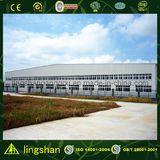 Steel Structure Factory (LS-S-088)