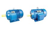 Y Series Three Phase Induction Motor (Y160M-4)