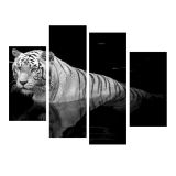 Black and White Tiger Cheap Canvas Painting Print on Canvas