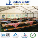 Cosco 12m Holiday Tent