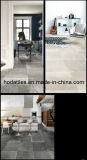 Super Quality Competitive Price for Ceramic Wall or Floor Tiles