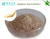 China Manufacturer Supply 100% Pure Korean Ginseng Extract