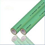 PPR Antibacterial and Fiberglass Pipe for Water Supply