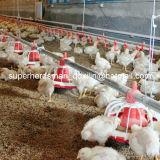Full Set Automatic Pan Feeding Poultry Farm Equipment for Broiler