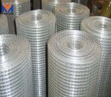 Galvanized Welded Wire Mesh