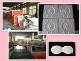 High Output Automatic Thermocol Plate Machine