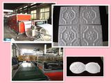 High Output Automatic Thermocol Plate Machine