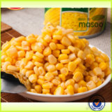 340g Canned Sweet Corn, Grade a Canned Food