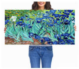 Canvas Wall Art for Home Improvement, Flower Paintings